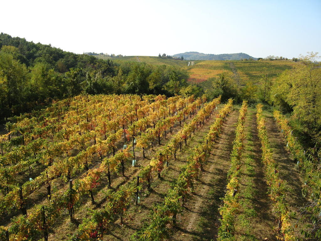 Bosco Romagno Villa Cividale del Friuli Buitenkant foto