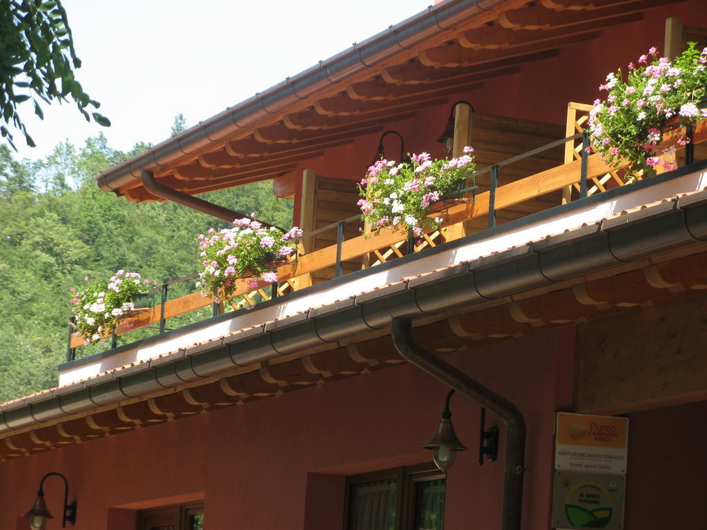 Bosco Romagno Villa Cividale del Friuli Kamer foto