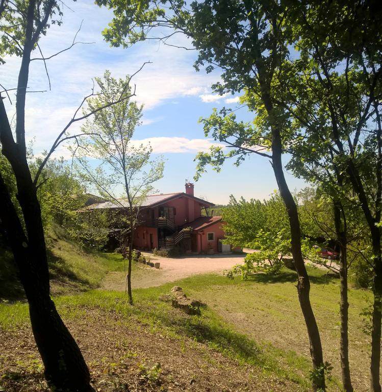 Bosco Romagno Villa Cividale del Friuli Buitenkant foto